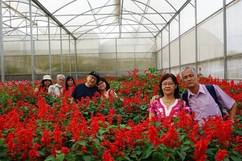 Van Thanh Flower Village