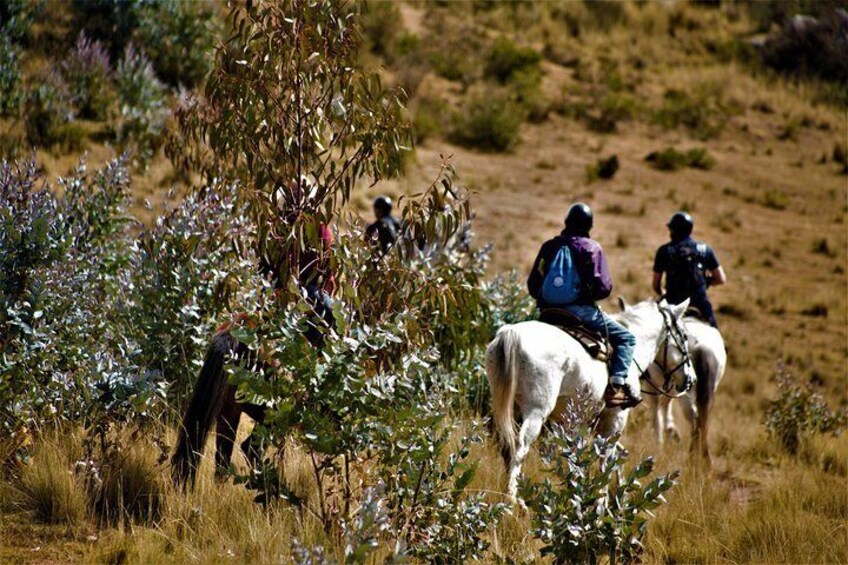 Horse Riding Chacan Mountain And Temple Of The Moon