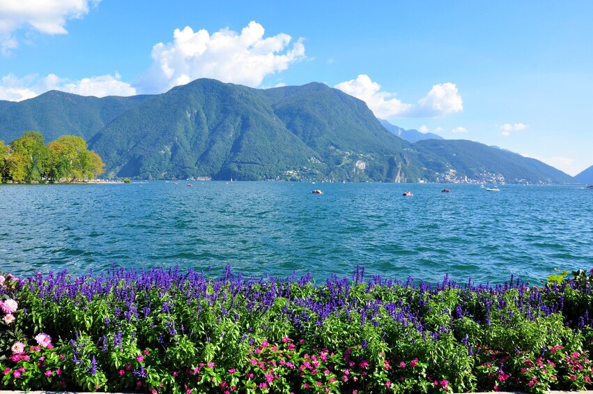 Lake Como with Bellagio & Lugano Day Trip