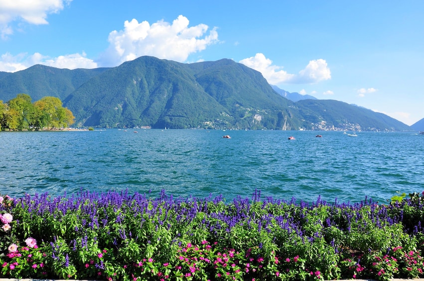 Lake Como with Bellagio & Lugano Day Trip
