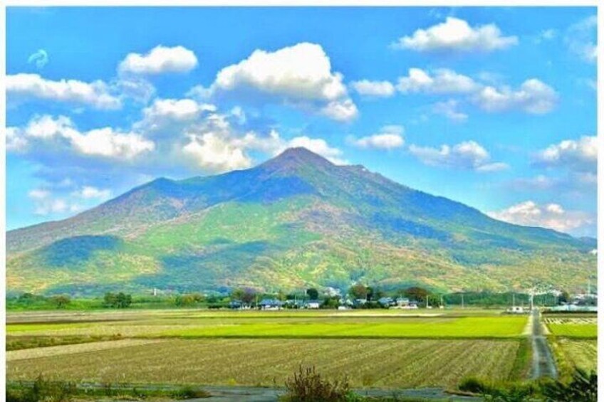 Tokyo Private Day Tour by Car with English speaking Driver Guide