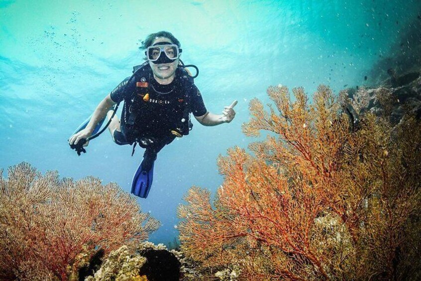 Easy Fun Scuba Dive in El Nido