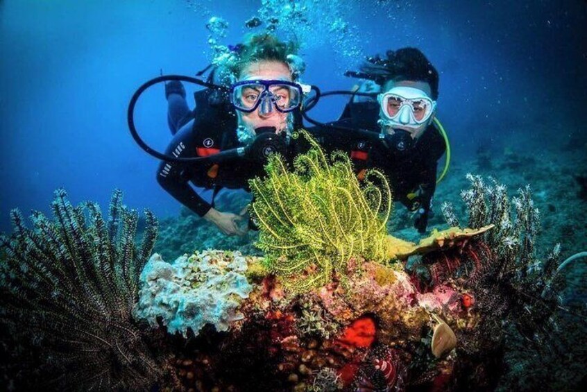 Easy Fun Scuba Dive in El Nido