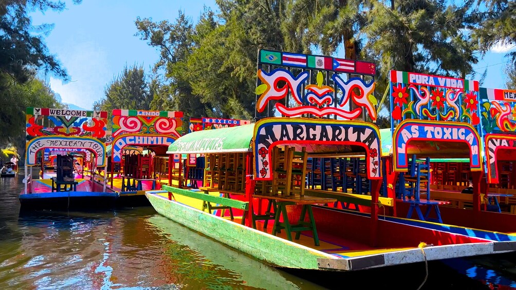 Xochimilco, Frida Kahlo Museum, Coyoacan & UNAM Tour