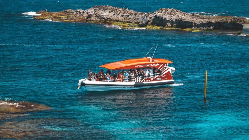 Rottnest Island Adventure Boat Tour from Perth & Fremantle