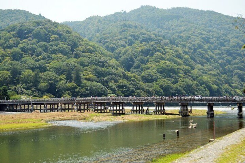 Explore the best spots of Arashiyama / Nara in a One Day Private Tour from Kyoto