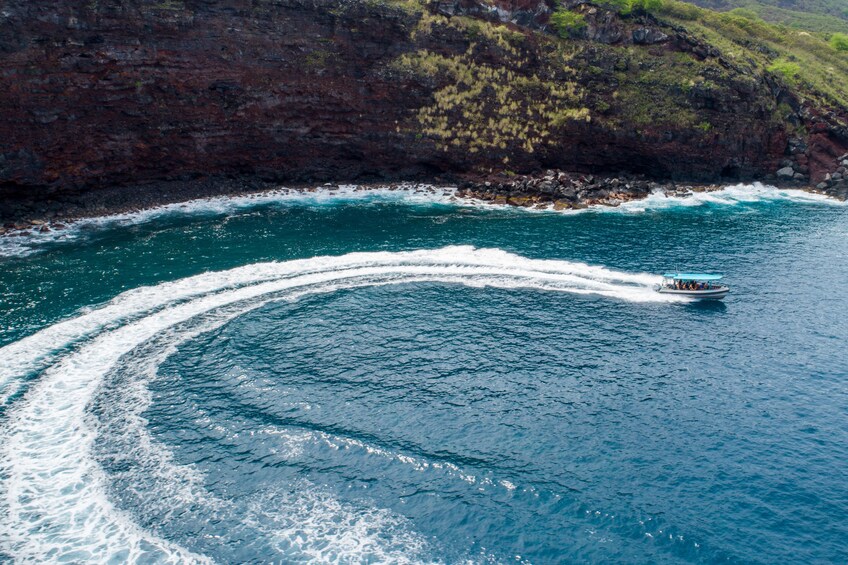 Premium Morning Snorkel