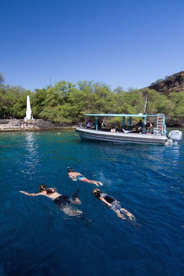 Premium Morning Snorkel