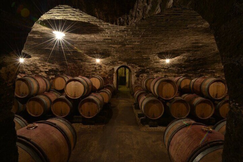 Vaulted ageing cellar