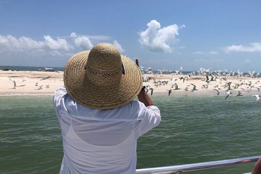10,000 Islands Small Group Boat Excursion See Marco's famous Dome Homes!