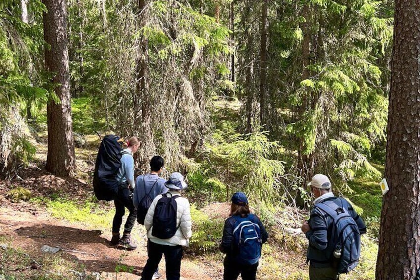 Magical Taiga Forest Hike with Lunch and Transportation