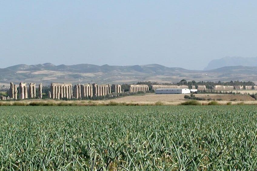 Roman Aquadects
