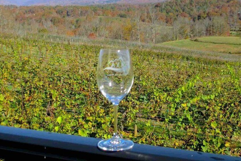 North Georgia Wine Country Tour from Atlanta