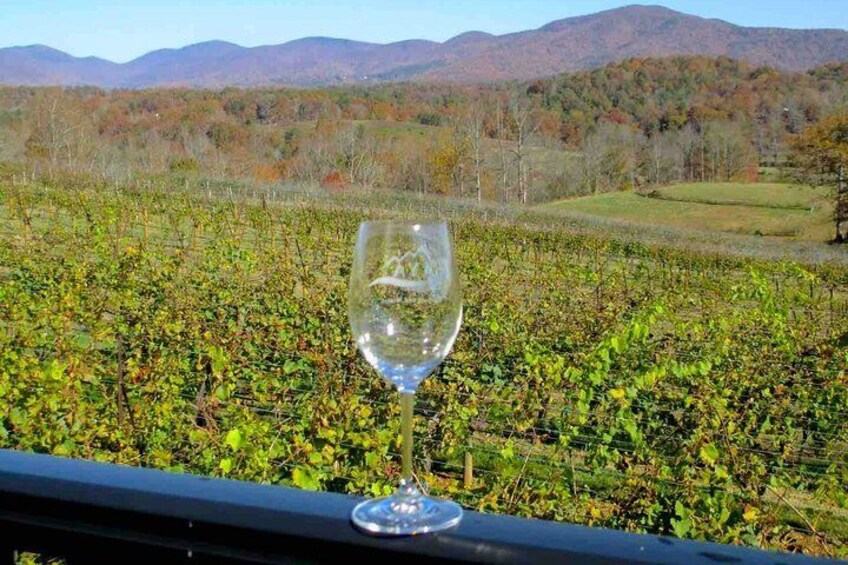 North Georgia Wine Country Tour from Atlanta