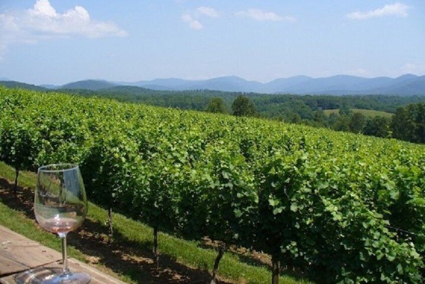 North Georgia Wine Country Tour from Atlanta