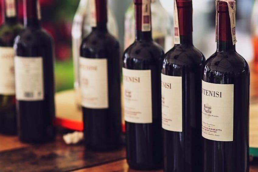 North Georgia Wine Country Tour from Atlanta