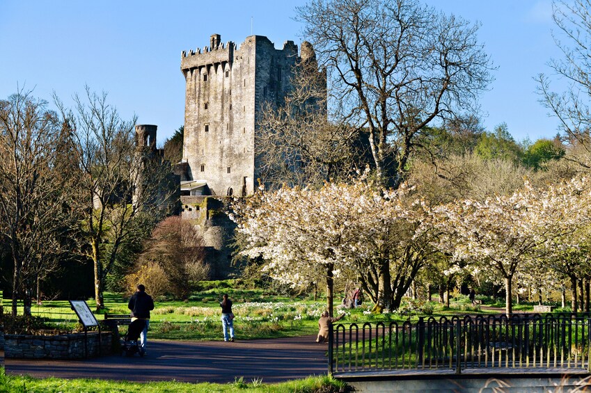 Blarney, Rock of Cashel & Cahir Castles Day Tour From Dublin