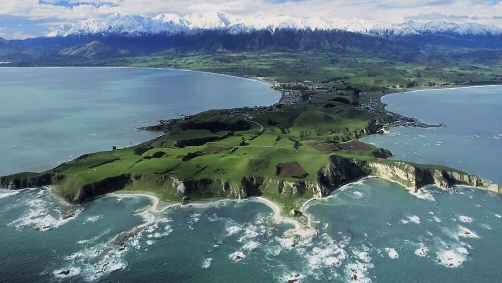 Swim with Dolphins in Kaikoura