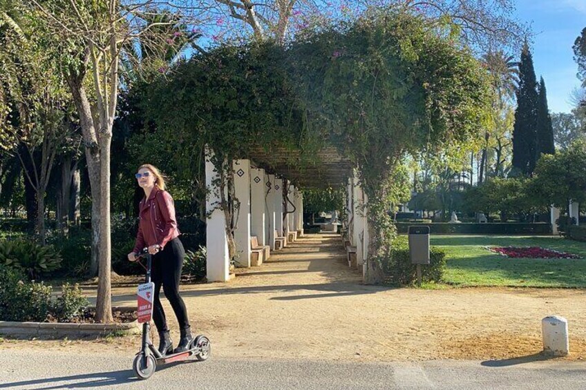 Scooter tours