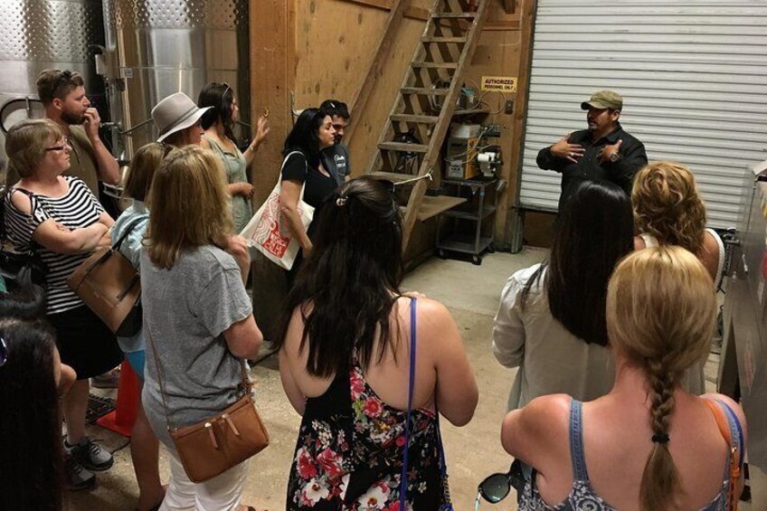 Taste of Fredericksburg Small-Group Wine Tour from San Antonio
