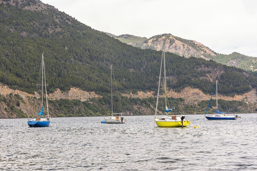 San Martin de los Andes by The 7 Lakes Route