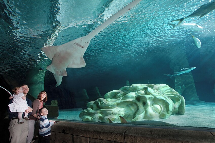 SEA LIFE at Mall of America