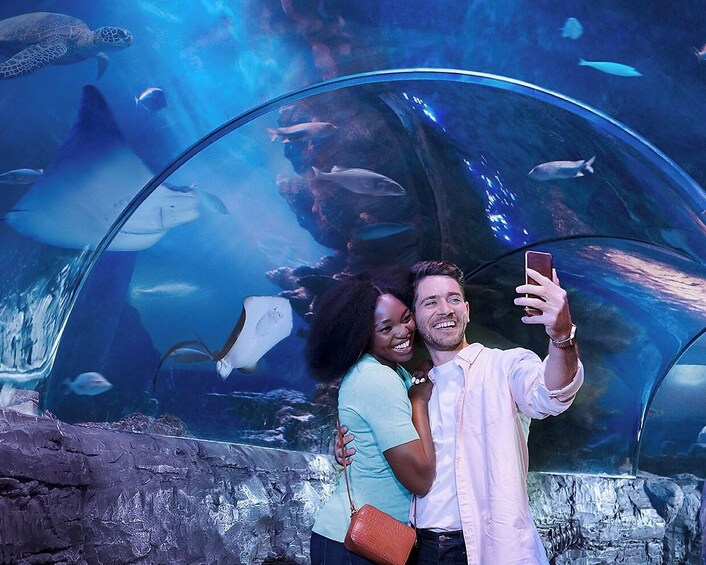 SEA LIFE at Mall of America
