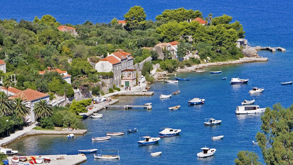 Docked boats along the coast of Elaphite Islands