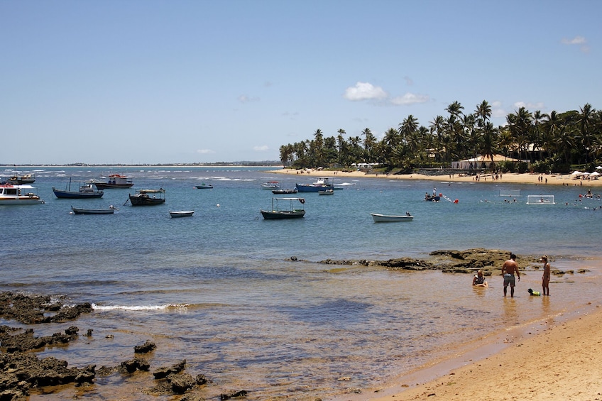 Praia Do Forte and Guarajuba Beach Tour