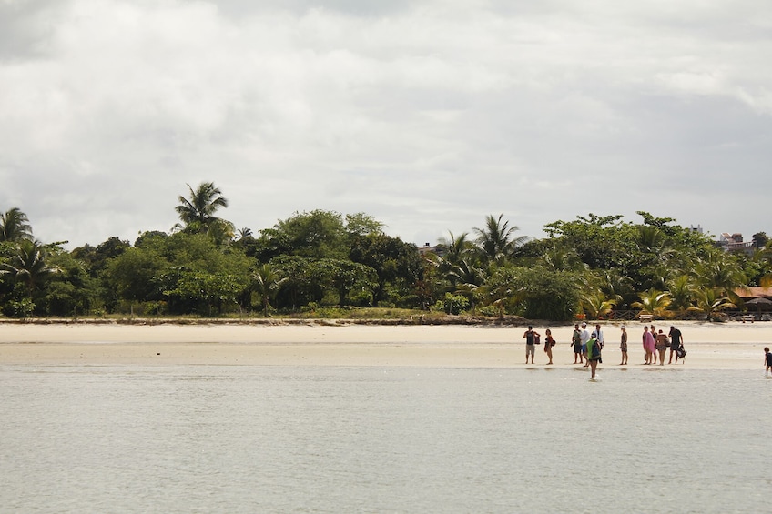 Schooner Island Tour