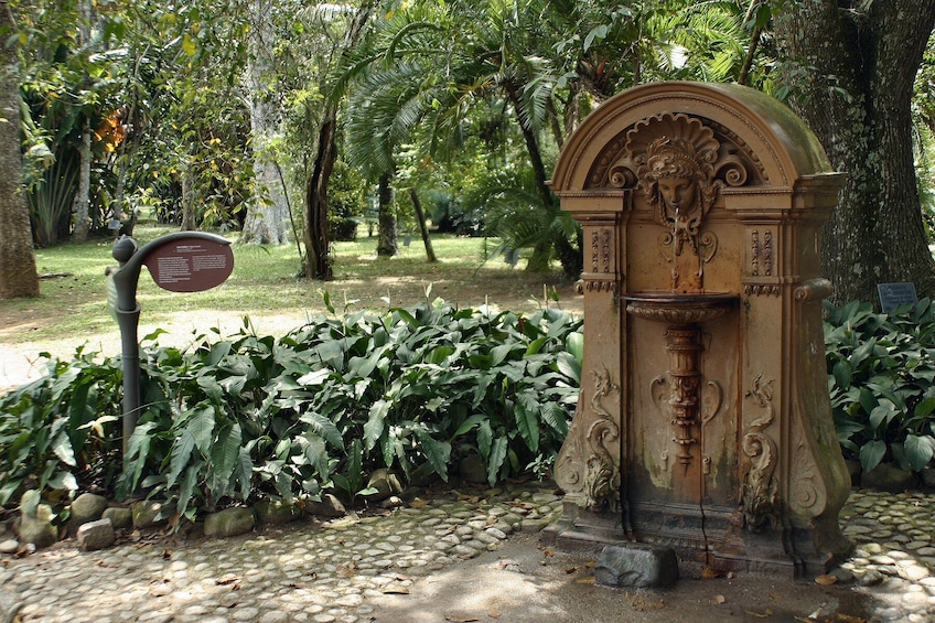 Rio de Janeiro Botanical Garden
