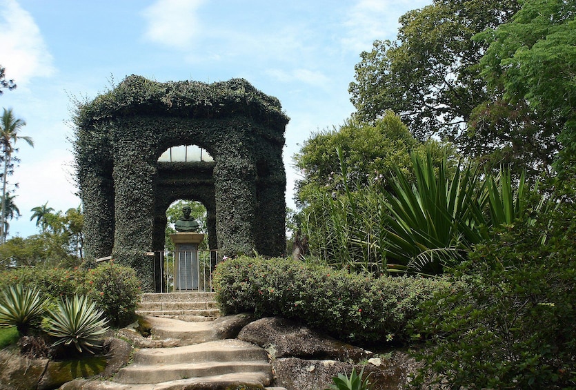 Rio de Janeiro Botanical Garden