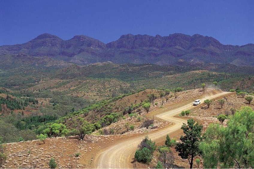 Flinders Ranges 3 Day 4WD Small Group Eco Tour from Adelaide