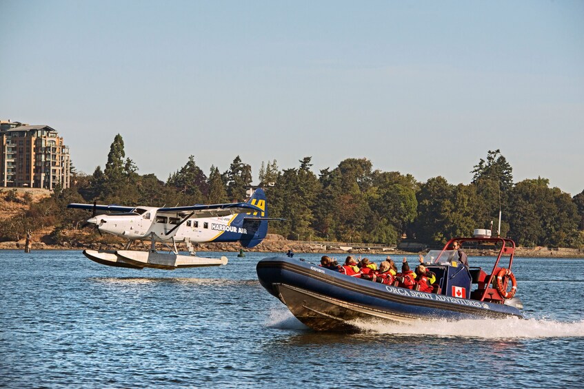 Vancouver to Victoria Seaplane Day Trip with Whale Watching Tour