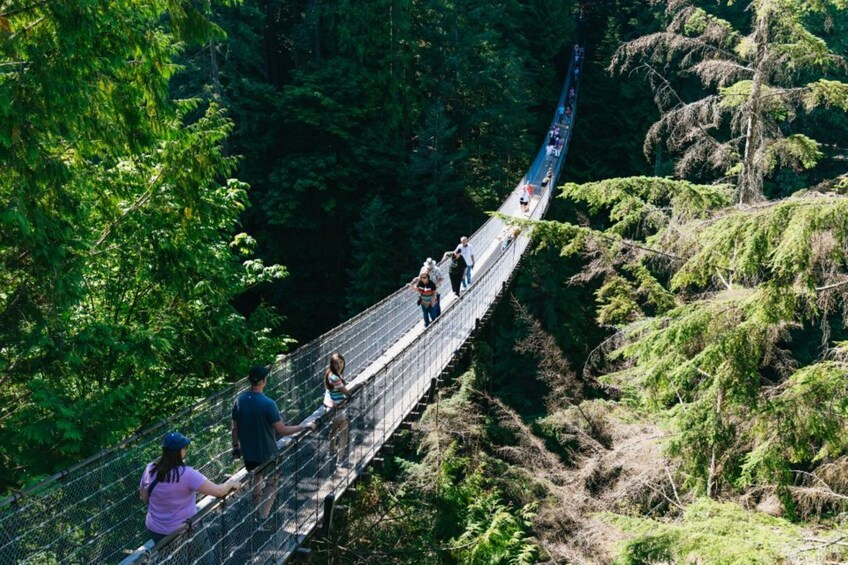 Victoria to Vancouver Seaplane Day Trip & Capilano Suspension Bridge