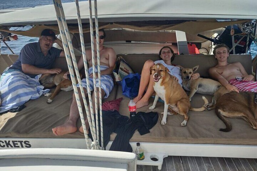 our pups