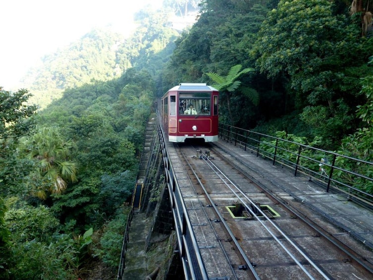 Peak Tram + Sky Terrace 428