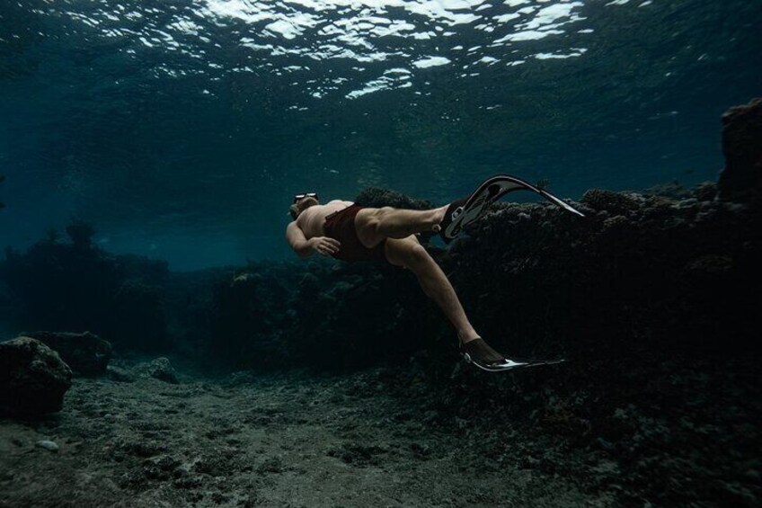 Turtle Town Snorkel with Photo and Video