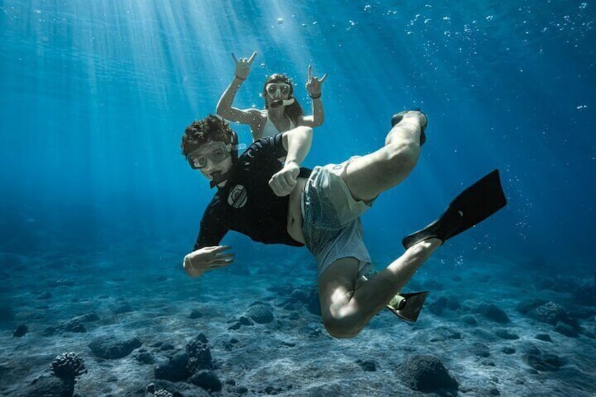 Turtle Town Snorkel with Photo and Video