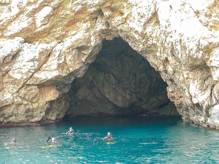 Boat Tour & Snorkeling in Malgrats Island