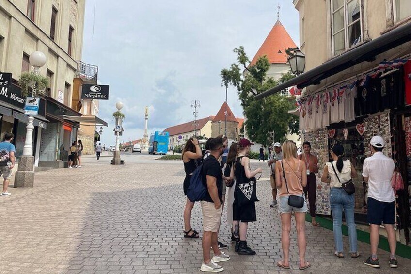 Zagreb Small Group Walking Tour with Funicular Ride & WW2 Tunnels