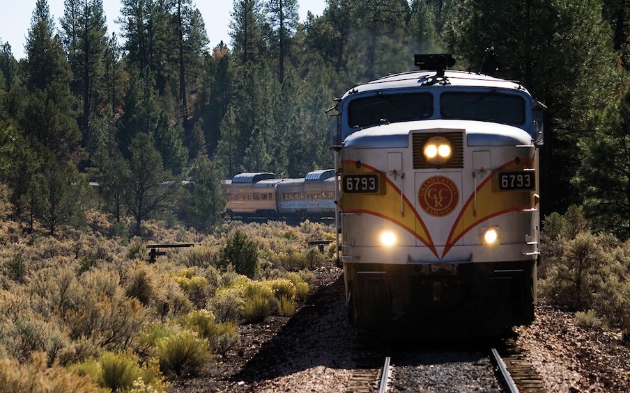Grand Canyon Tour with Train Ride