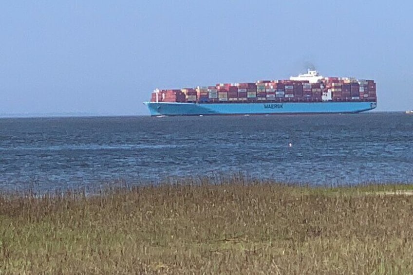 Tybee Island Day at the Beach Experience from Savannah