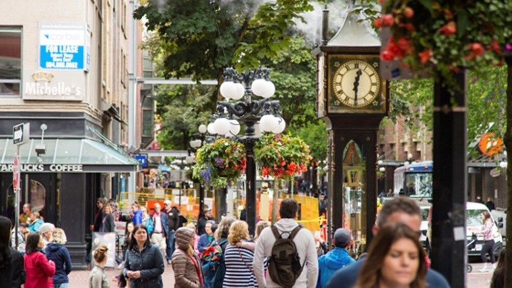 Best of Vancouver City Half Day Tour 