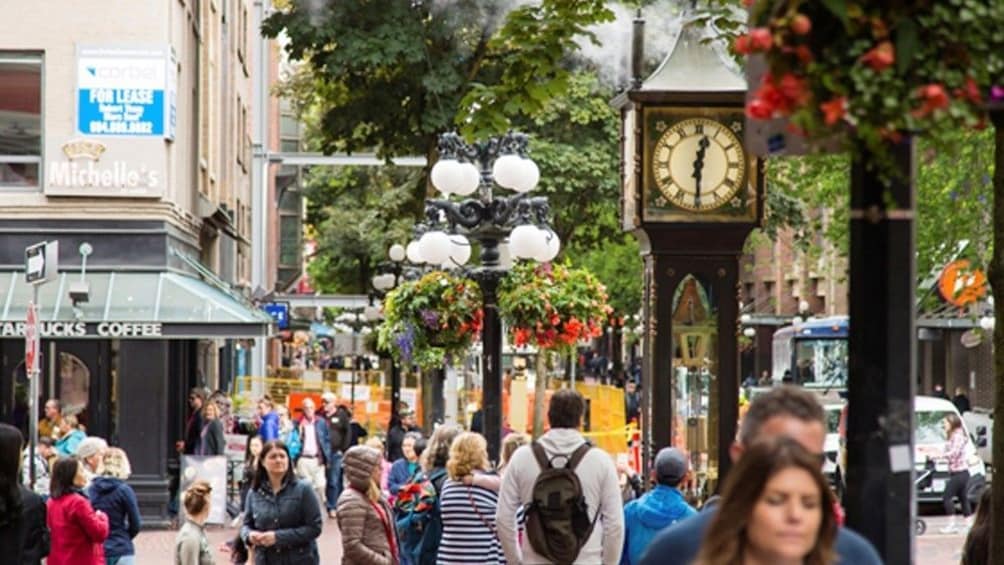 Best of Vancouver City Half Day Tour