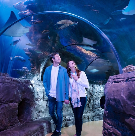 SEA LIFE San Antonio