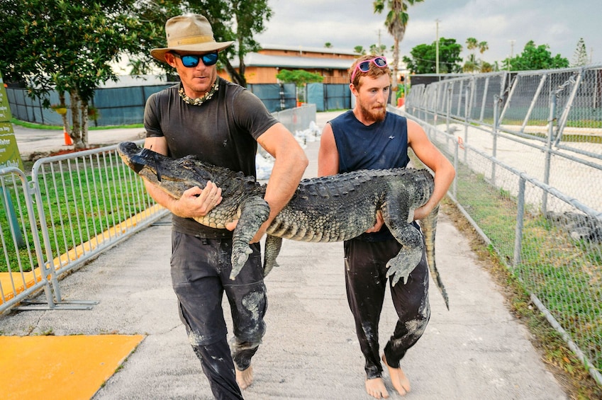 Everglades Excursion