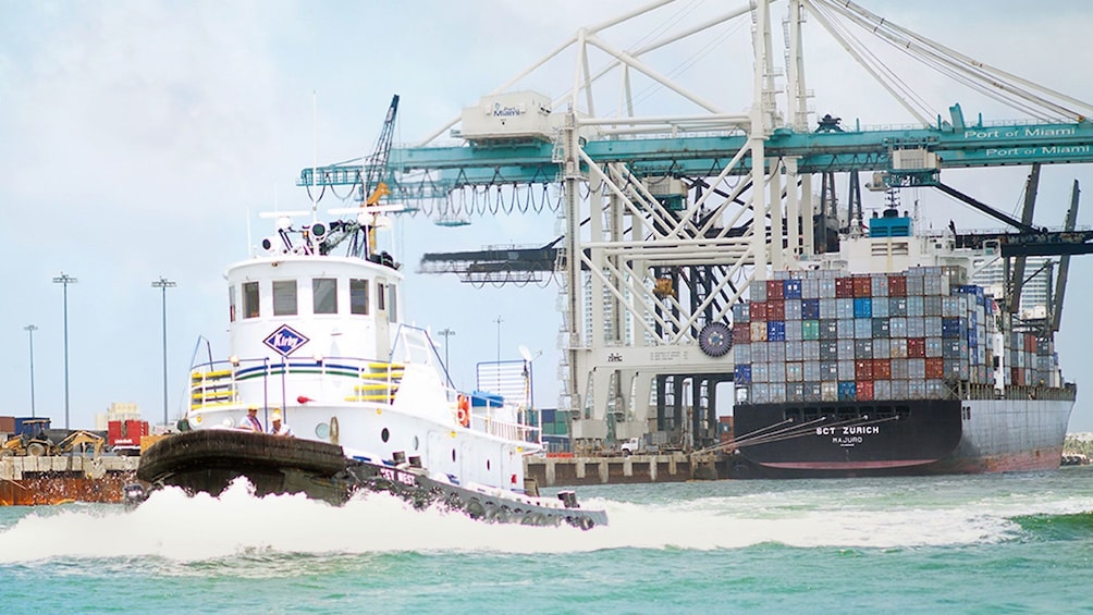 Miami Everglades Tour & Star Island Boat Cruise (Combo)