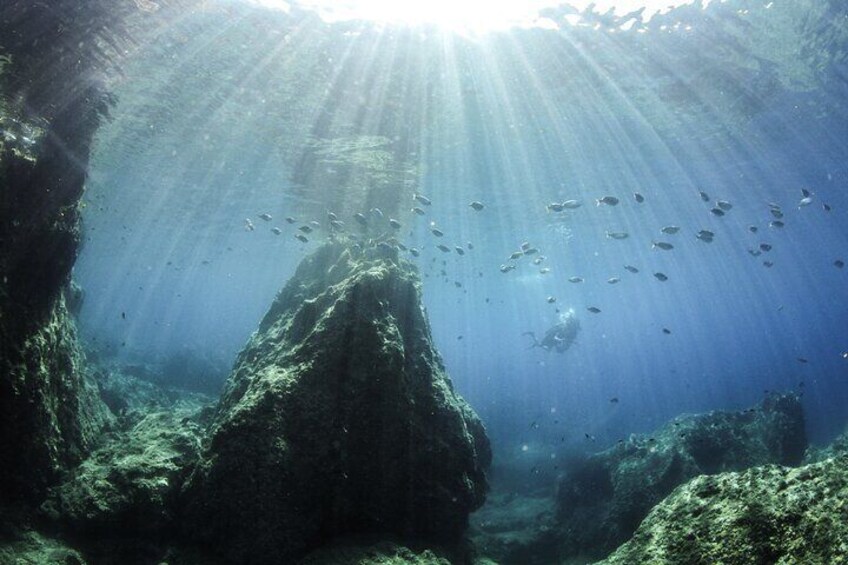 Snorkeling and Boat trip in Crete with free certification! 