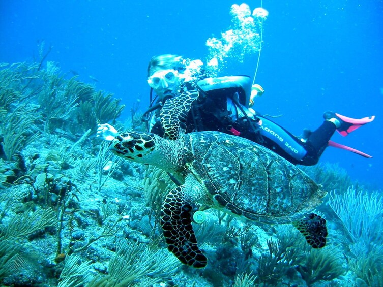 Scuba-Diving Trip